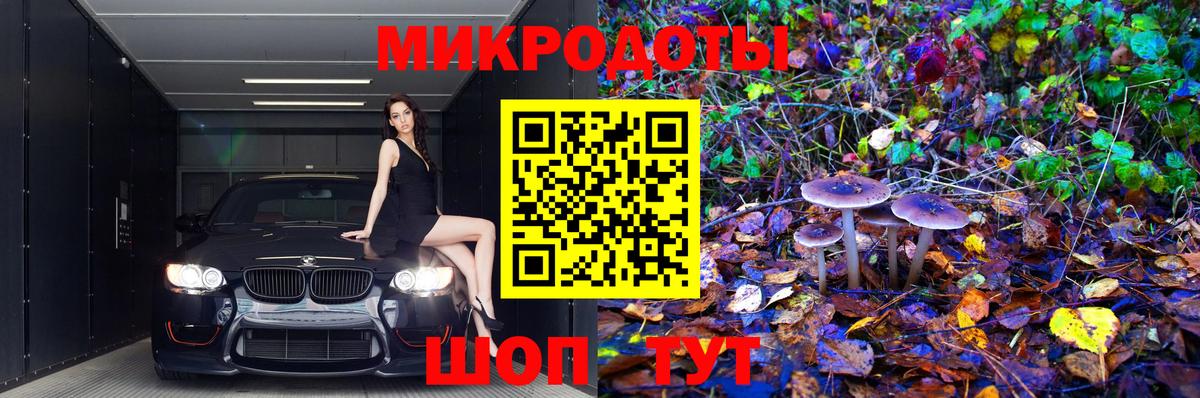 Псилоцибиновые грибы MAGIC MUSHROOMS Бузулук